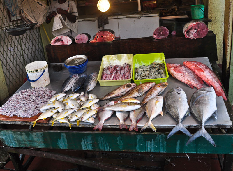 Рыба на шри ланке. Чикен Фиш Шри Ланка. Тунец рынок Шри Ланка. Съедобные рыбы Шри Ланка. Морской окунь Шри Ланка.